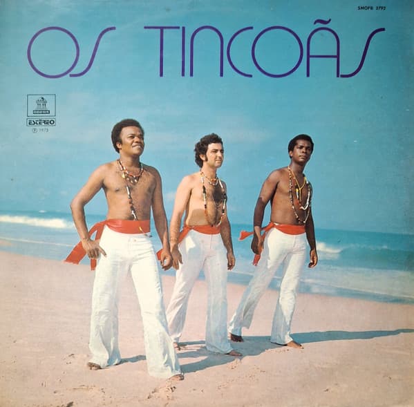 Vinyl Cover