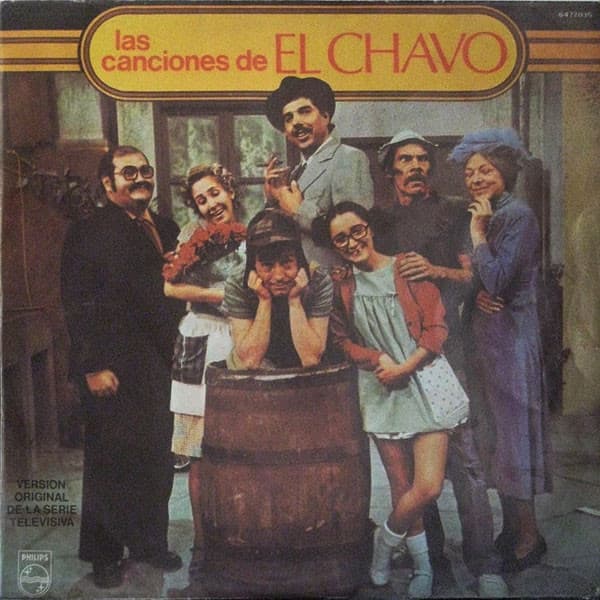 Vinyl Cover
